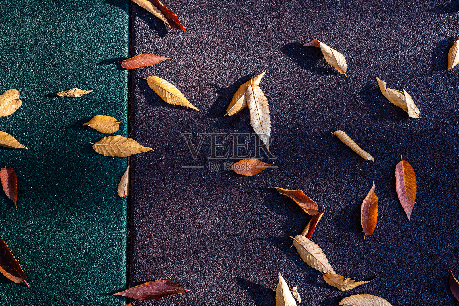 美丽而寂寞的秋叶照片摄影图片