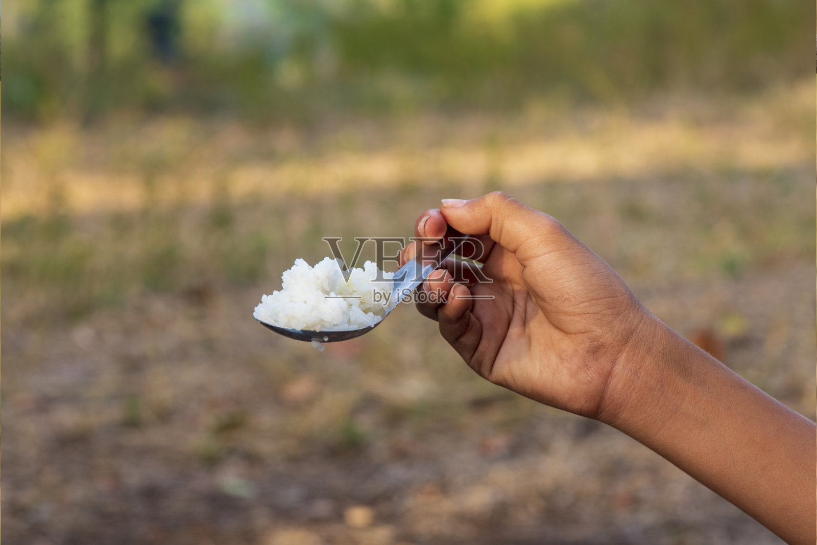 孩子们在乡村地区野营和做饭度假。照片摄影图片