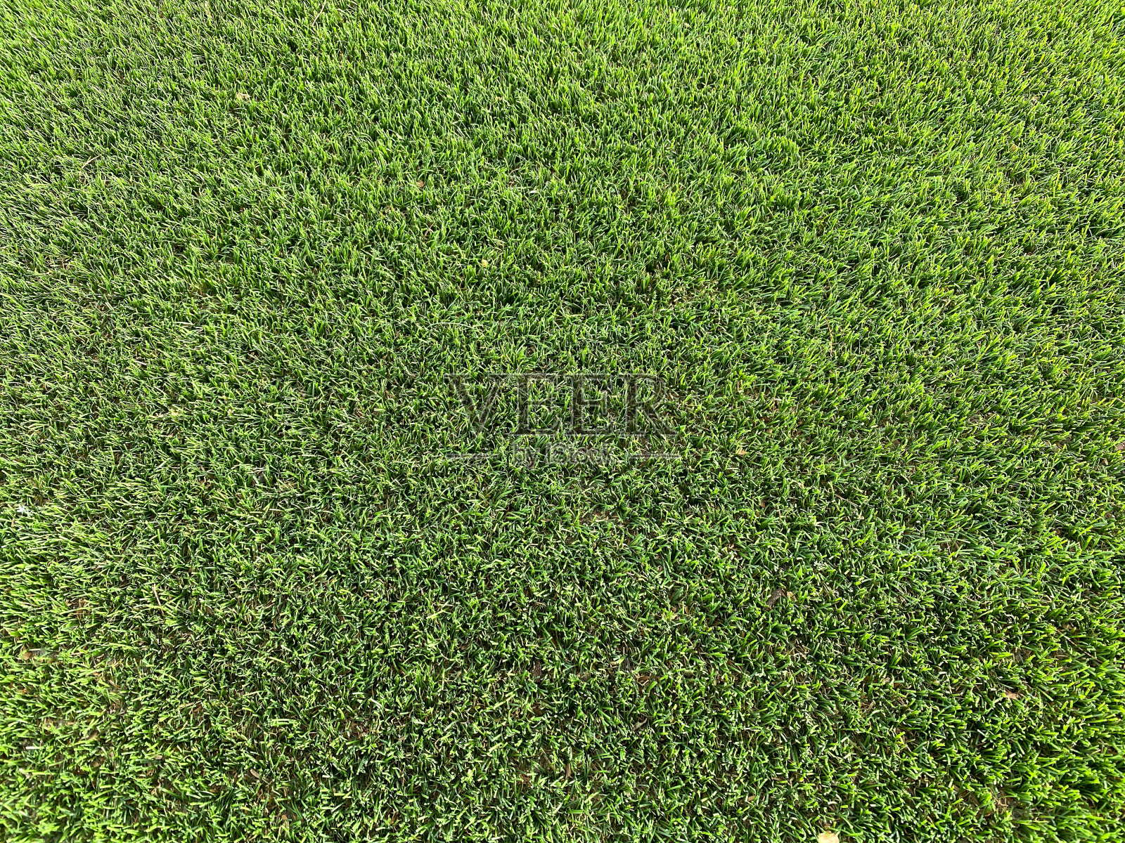 近距离观看体育场地人工假模拟草astroturf在明亮的阳光照片摄影图片