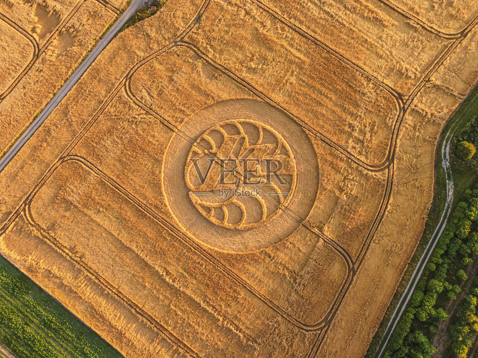 Hackpen Hill麦田圈照片摄影图片