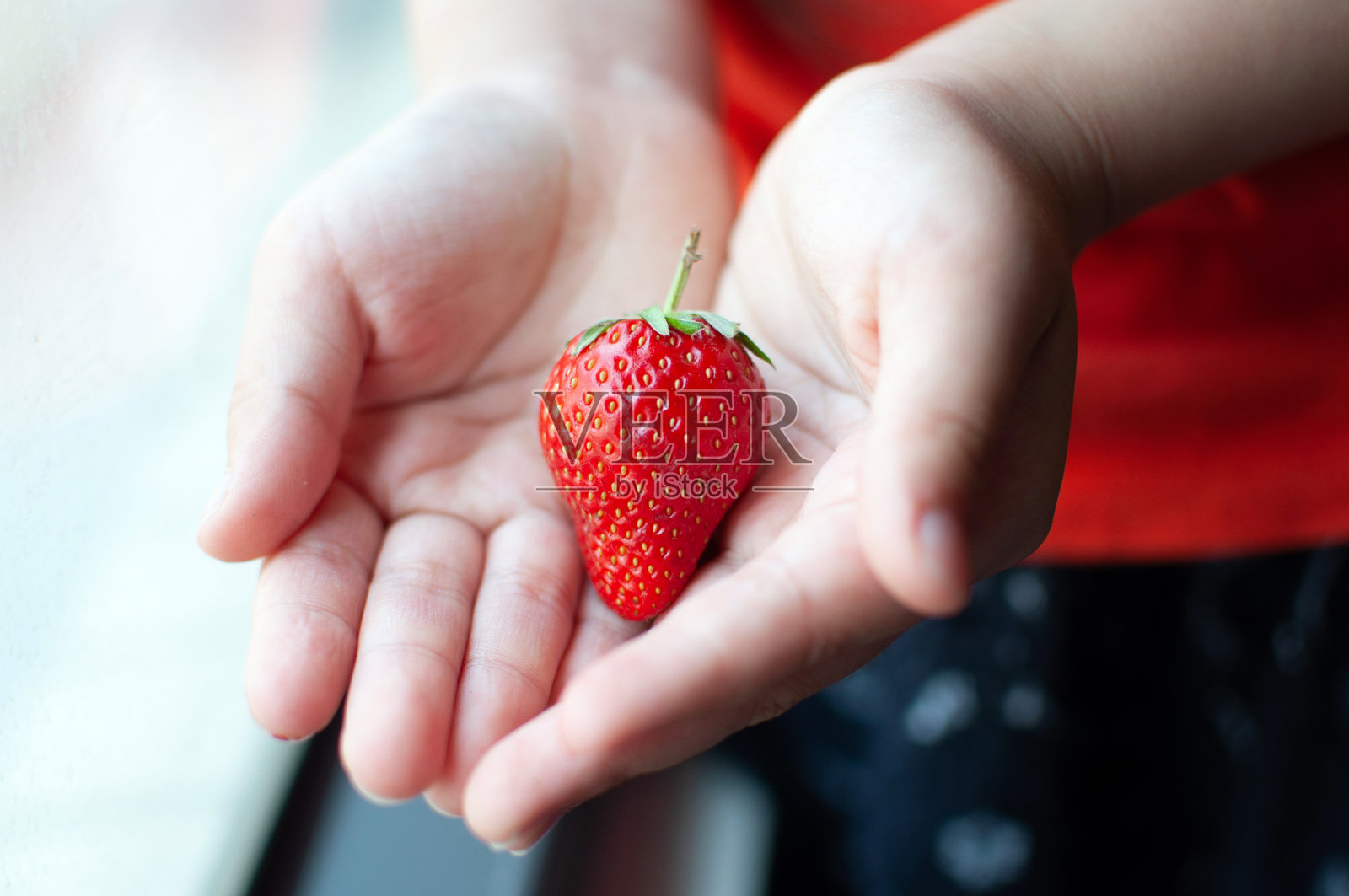 孩子们双手捧着新鲜的草莓。照片摄影图片