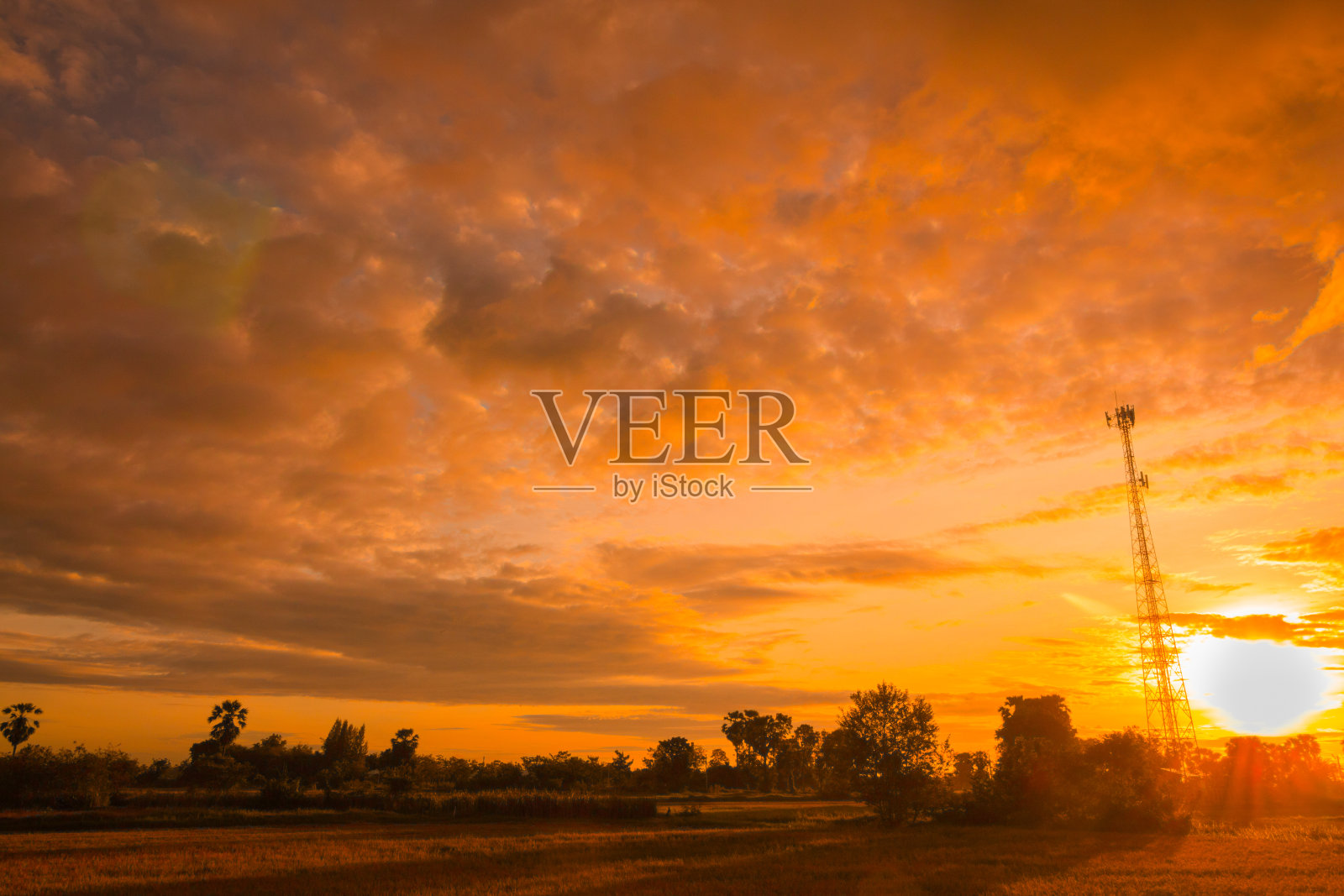 太阳照片摄影图片