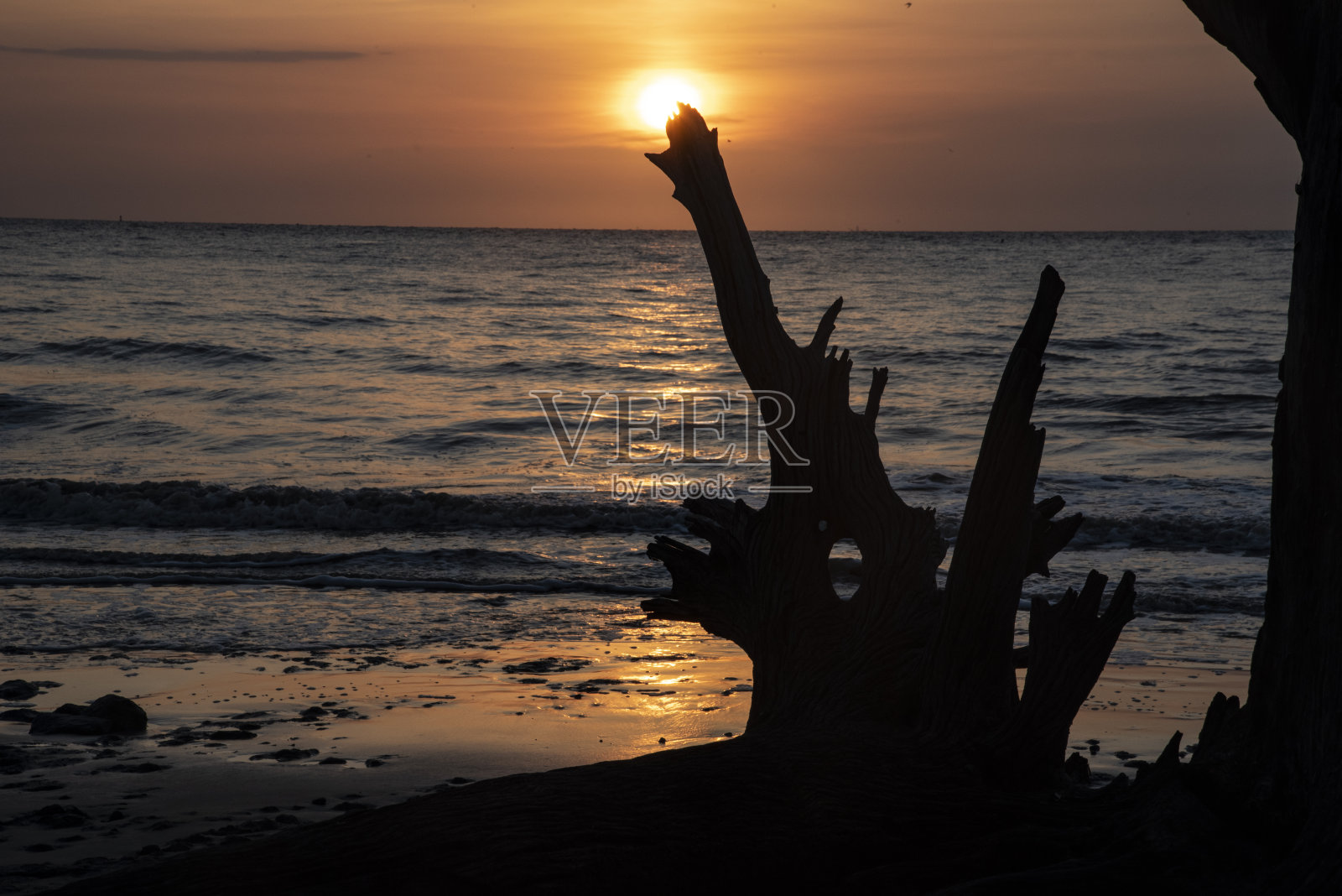 佐治亚州杰基尔岛的日出剪影。照片摄影图片