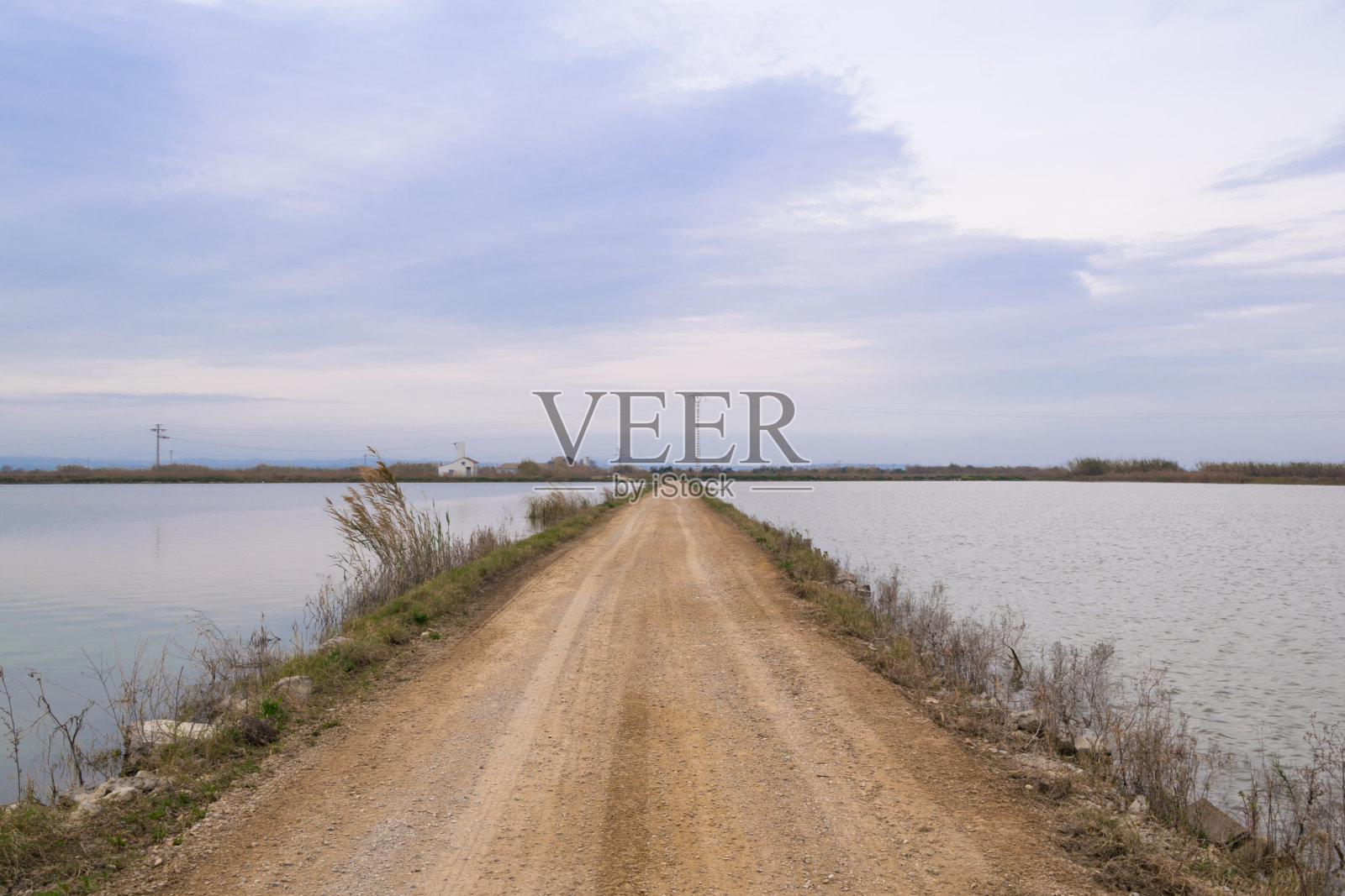 西班牙瓦伦西亚的阿布费拉稻田之间的土路照片摄影图片