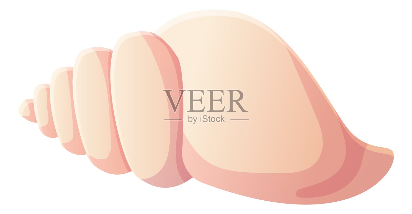 粉红色的扇贝贝壳。海滩剪贴画，海洋元素概念。股票矢量插图孤立在白色背景在平面卡通风格插画图片素材