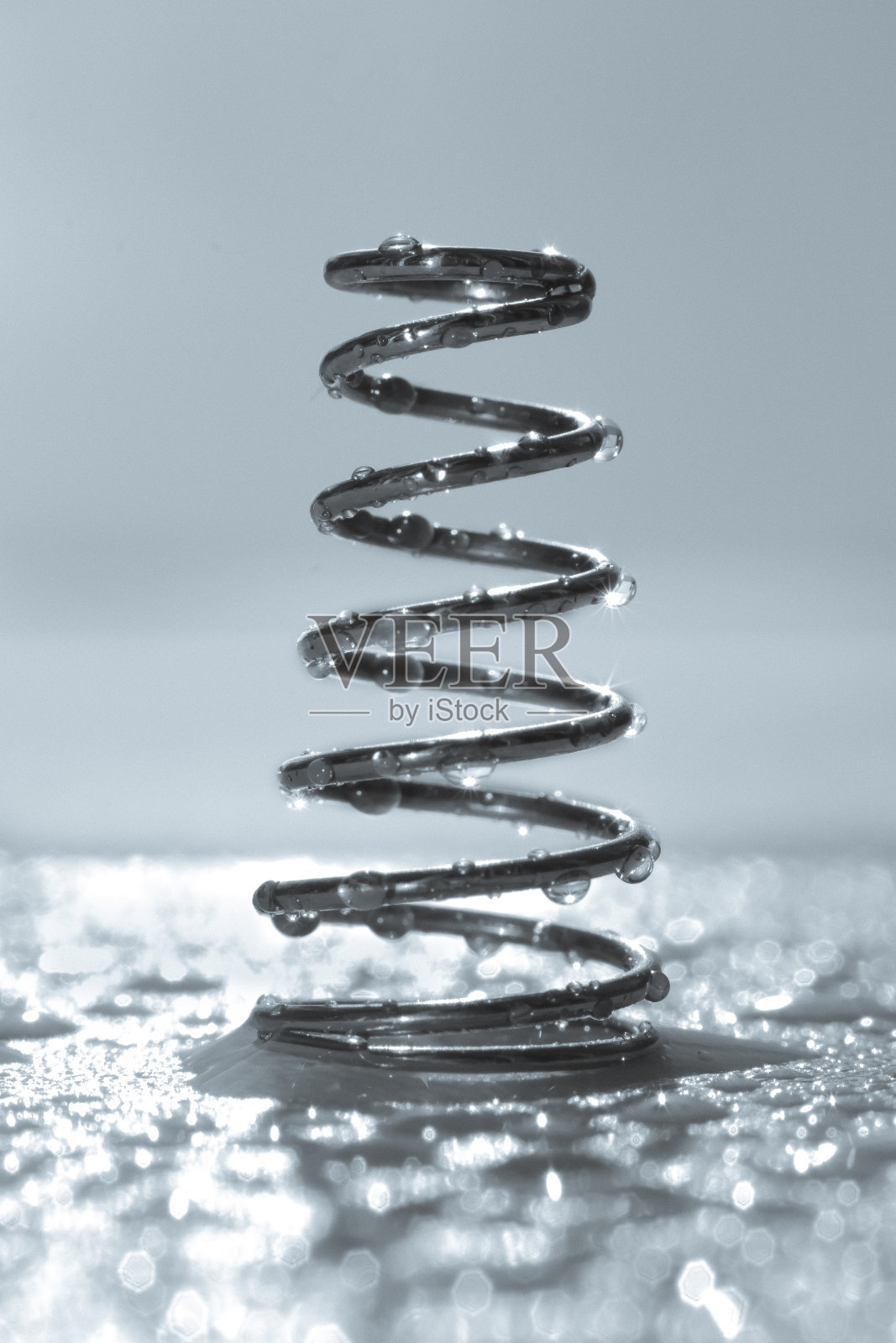 春天照片摄影图片