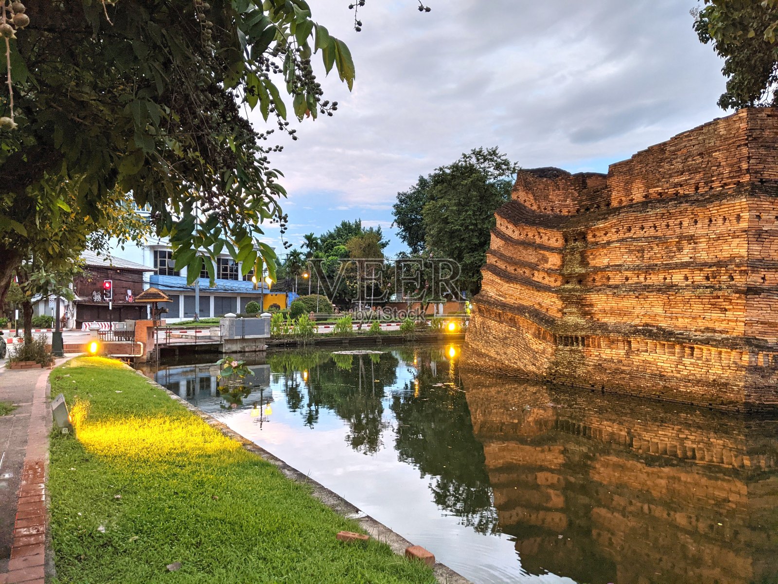 泰国清迈的古城墙和古树照片摄影图片