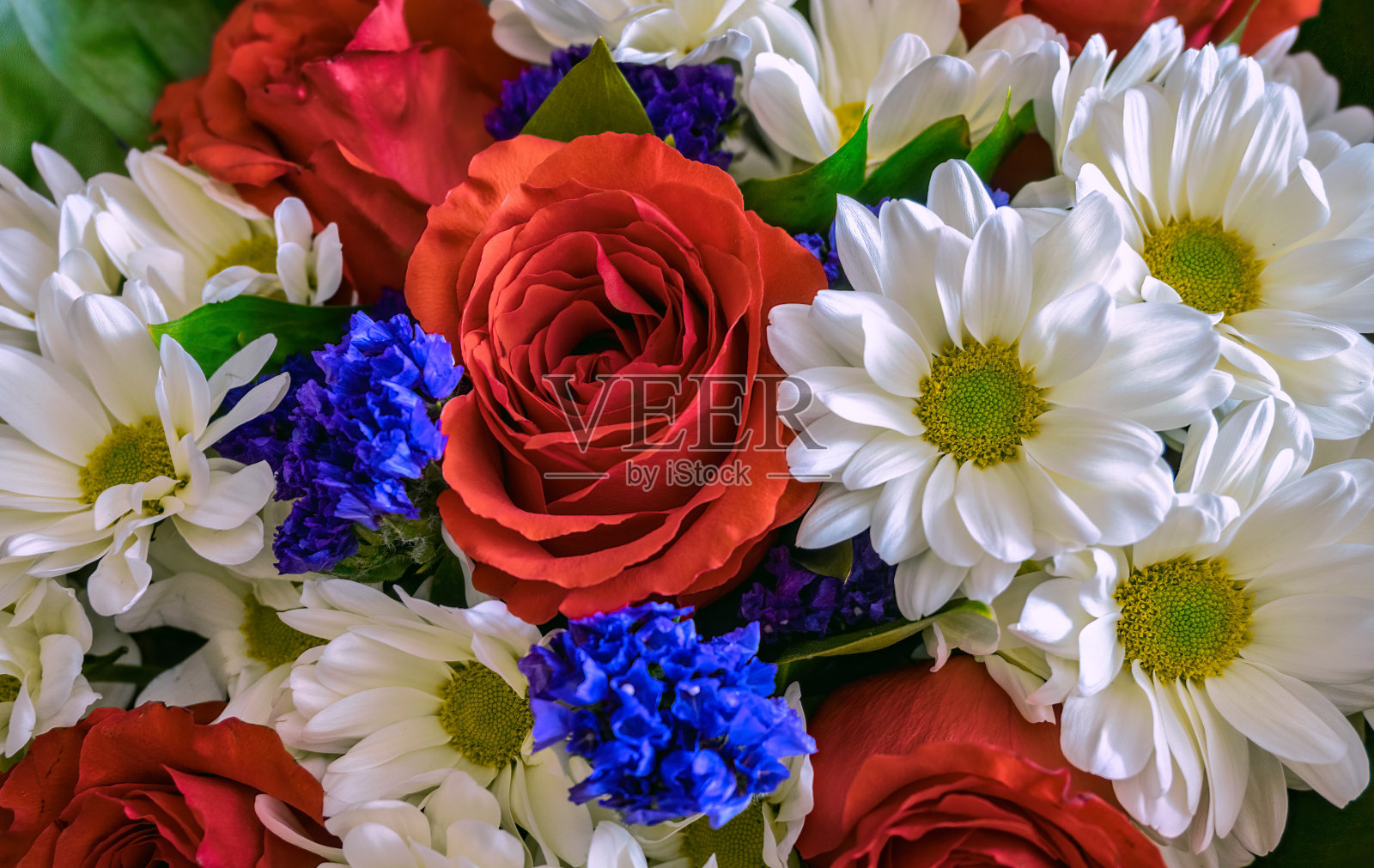 一束美丽的鲜花，红色的玫瑰，白色的紫苑与黄色的心，装饰绿色的叶子。庆典、宴会装饰、节日、花艺、激情。照片摄影图片