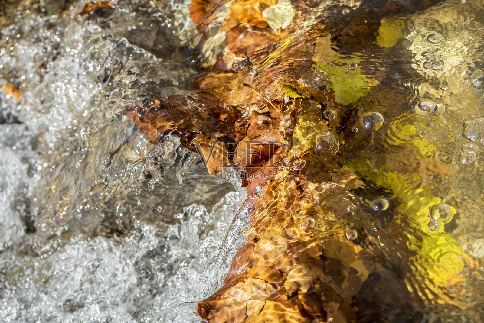 水和树叶黄了，秋，落了照片摄影图片
