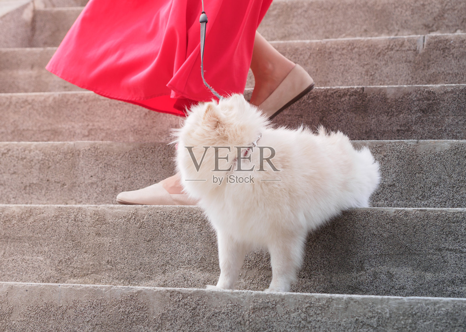 一个小妞和一个穿红裙子的情妇从一个大楼梯上走下来照片摄影图片