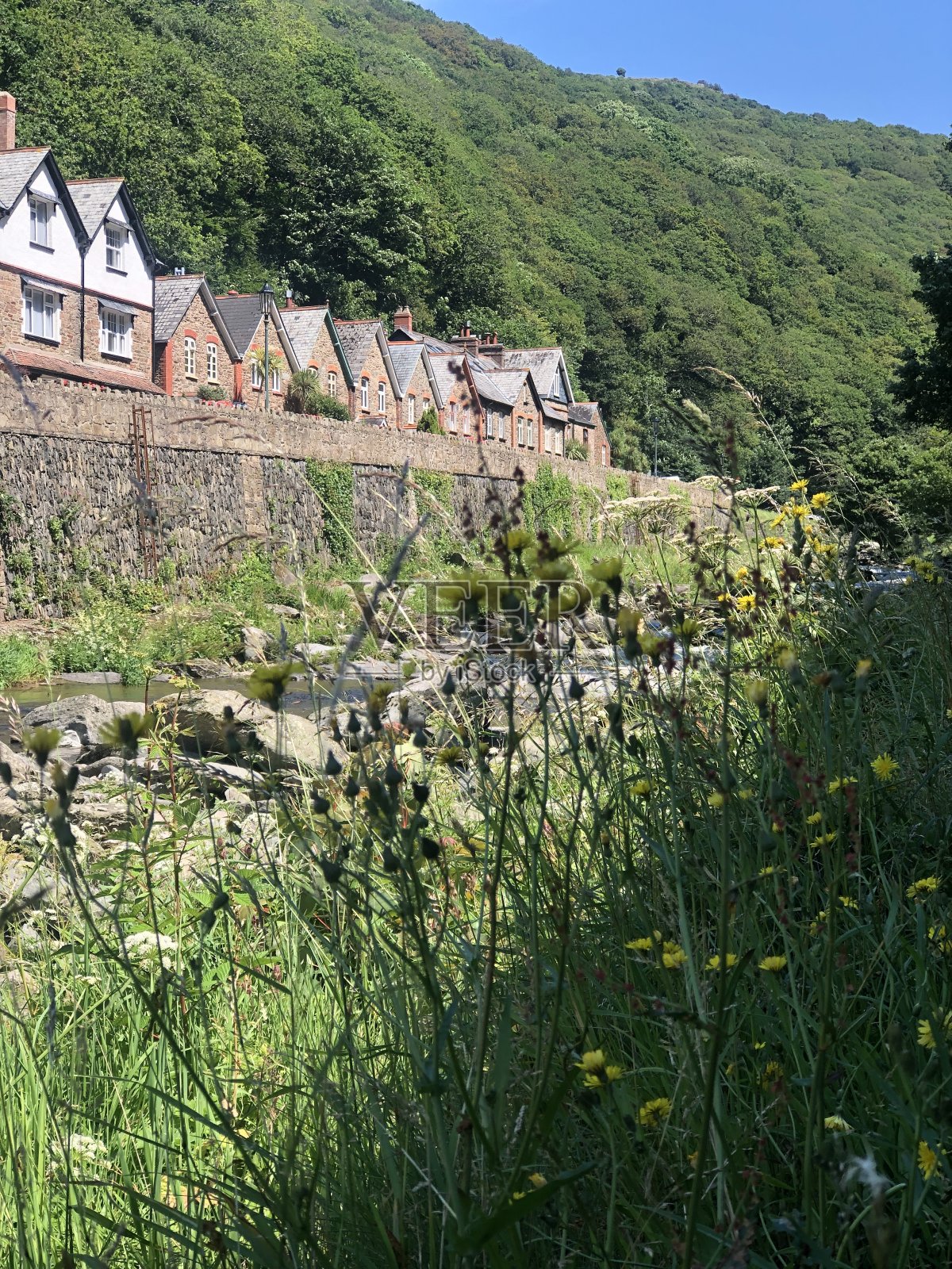 林茅斯河林恩德文郡夏天照片摄影图片