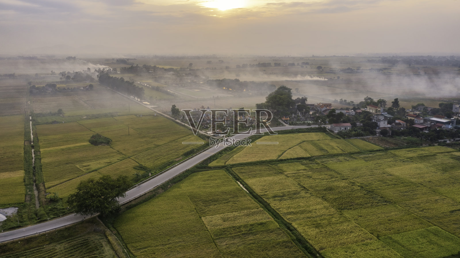 越南北部的金色稻田等待收割照片摄影图片