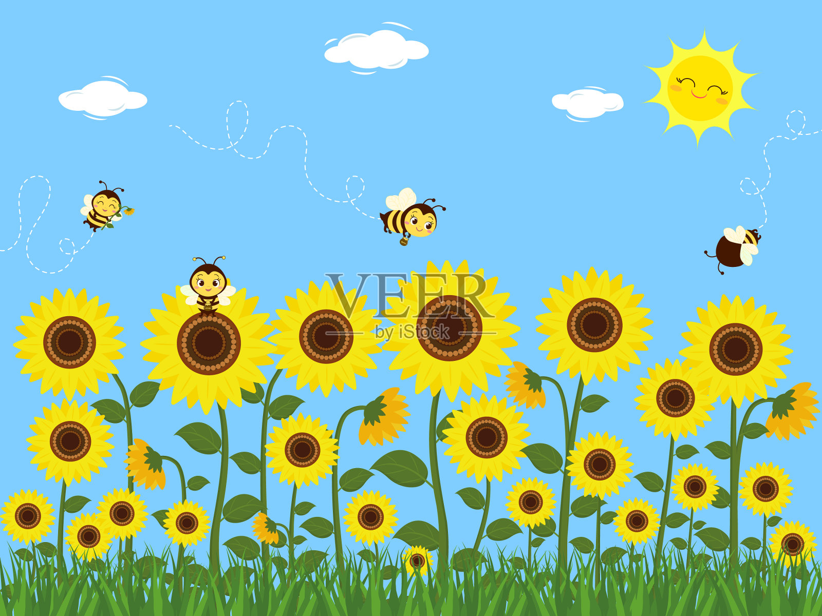 可爱的蜜蜂在有叶子的向日葵上采集花蜜插画图片素材