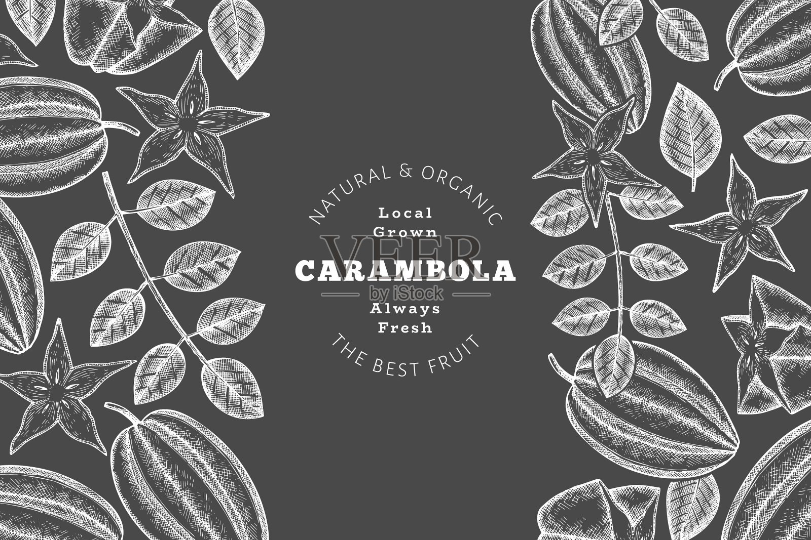 手绘素描风格杨桃旗有机插画图片素材