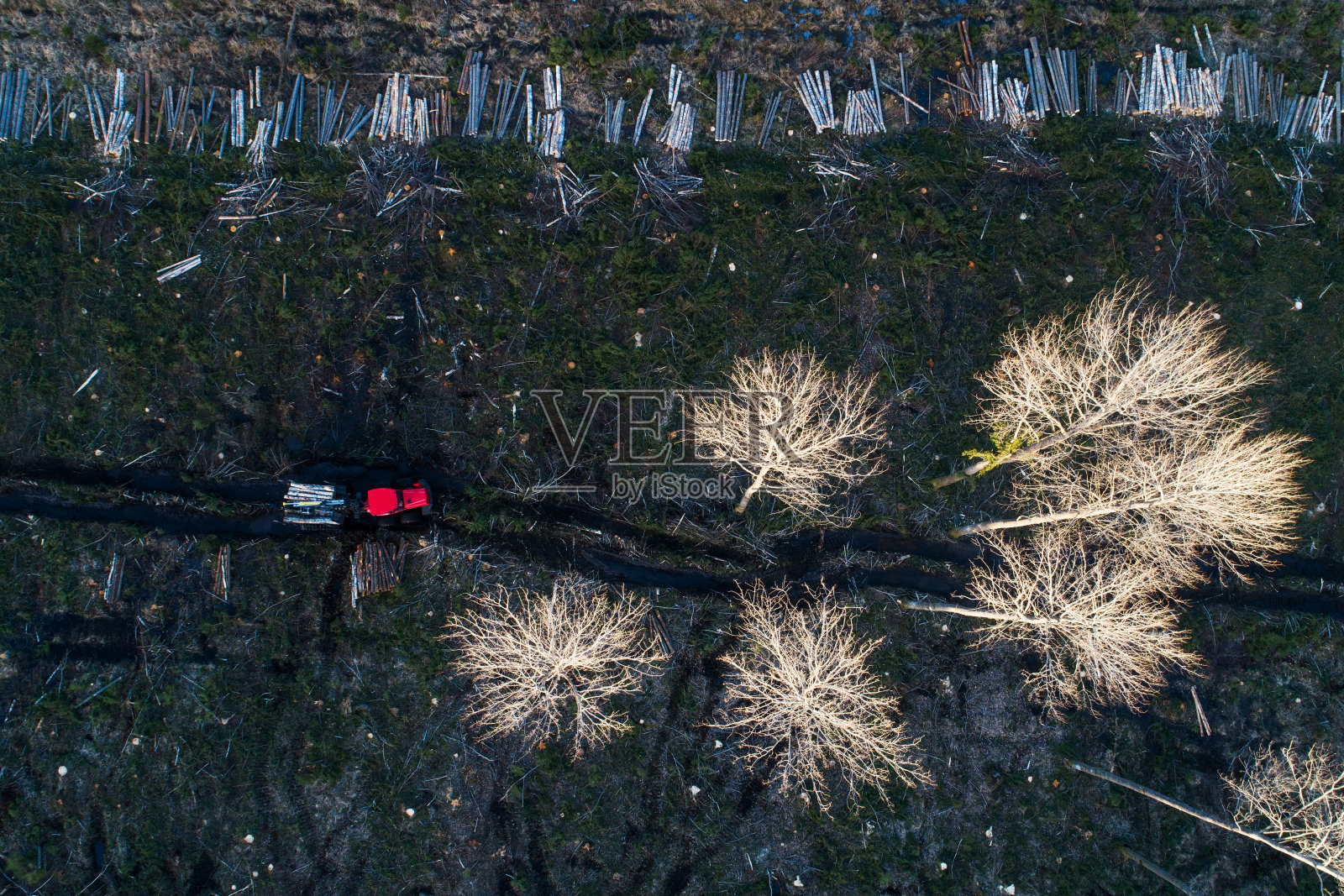 森林砍伐后一片被砍伐的区域的鸟瞰图照片摄影图片