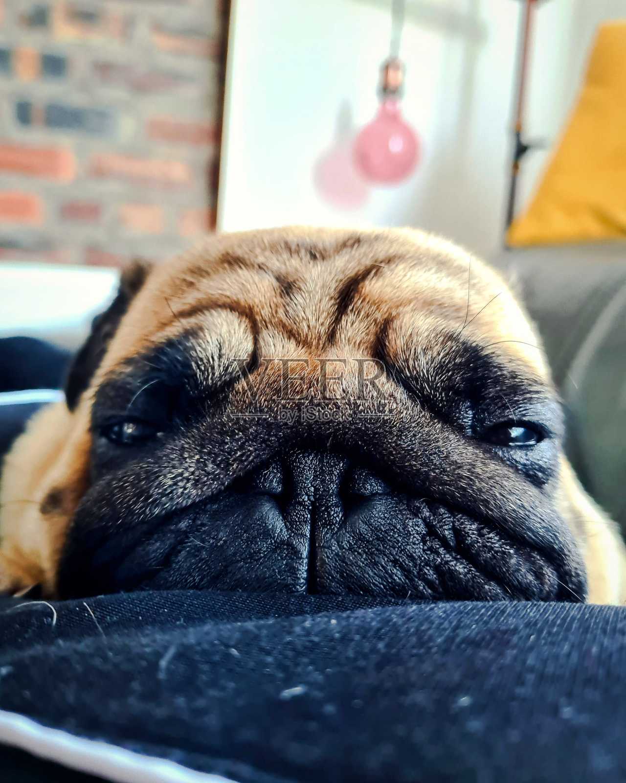 早上困照片摄影图片