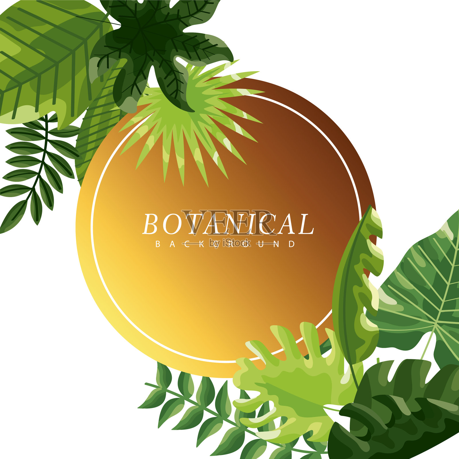 叶在圆形框架插画图片素材