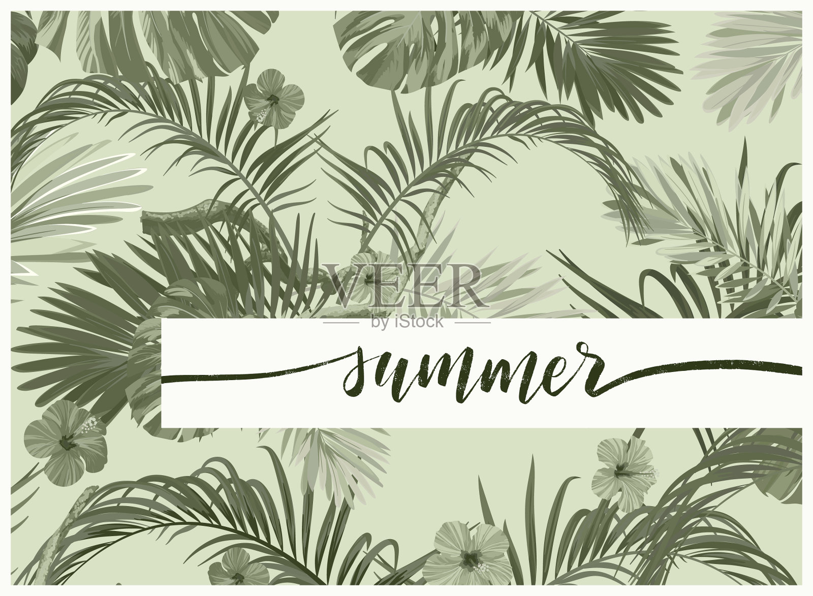 复古的单色苍白的plive热带设计插画图片素材