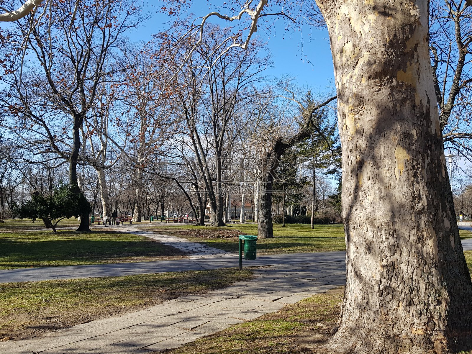 公园在冬天照片摄影图片