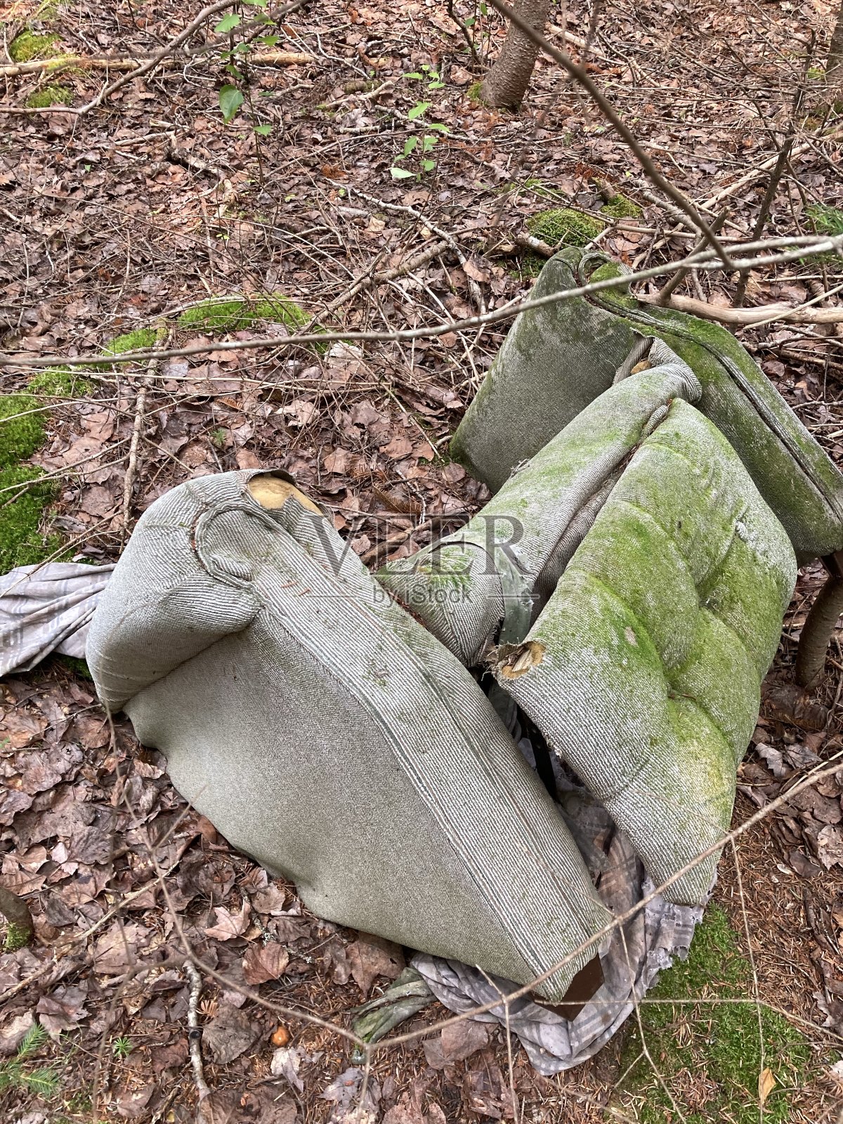树林里被遗忘的旧椅子。照片摄影图片