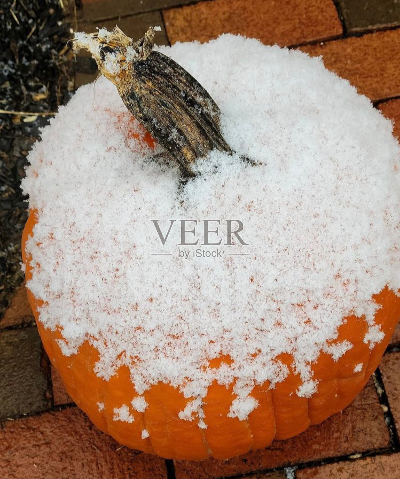 早期的雪照片摄影图片