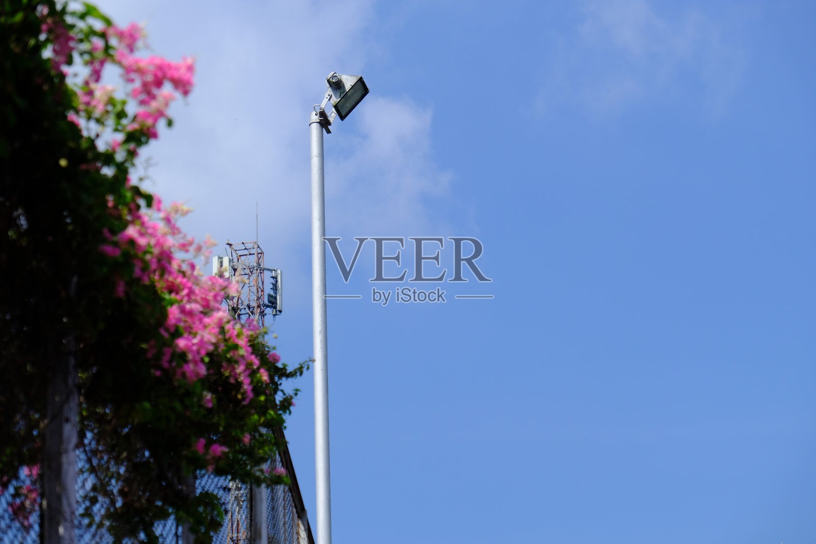 晴朗天空上的灯杆照片摄影图片