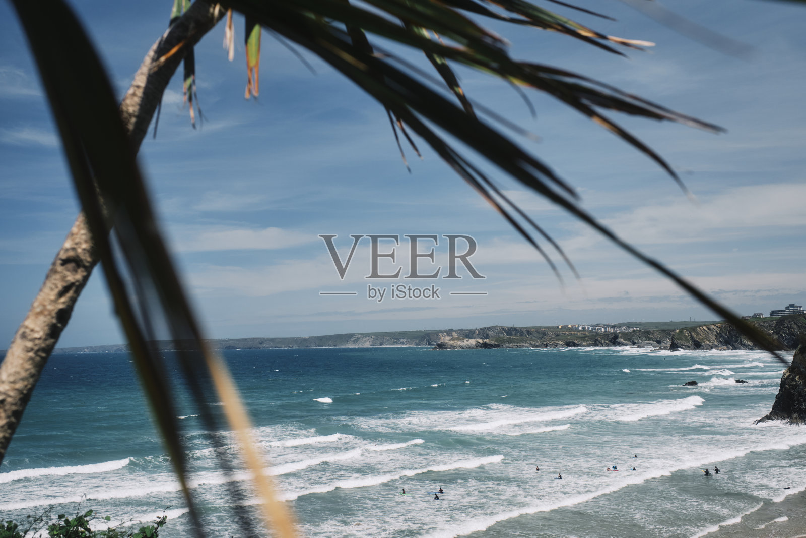 在一个阳光明媚的6月的一天，通过一棵棕榈树俯瞰陶湾海滩，纽基朝向水门湾。照片摄影图片