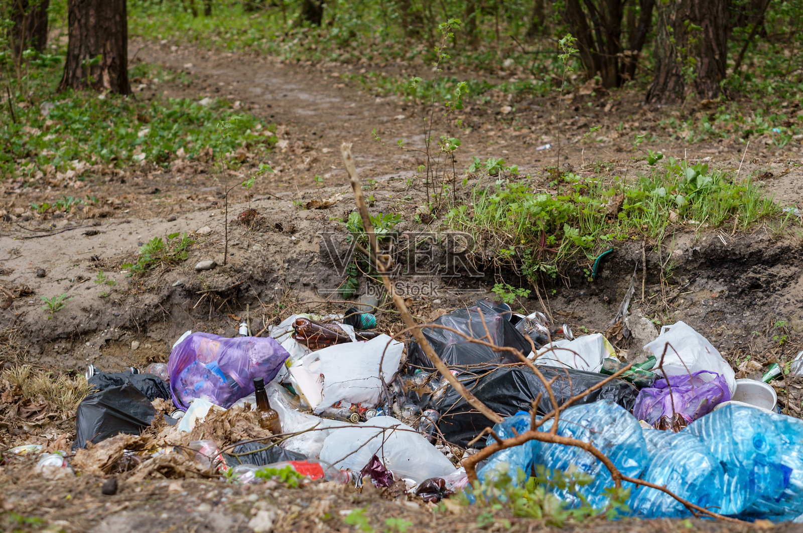 大自然中的垃圾袋。把垃圾装在袋子里放在树林里。森林污染。照片摄影图片