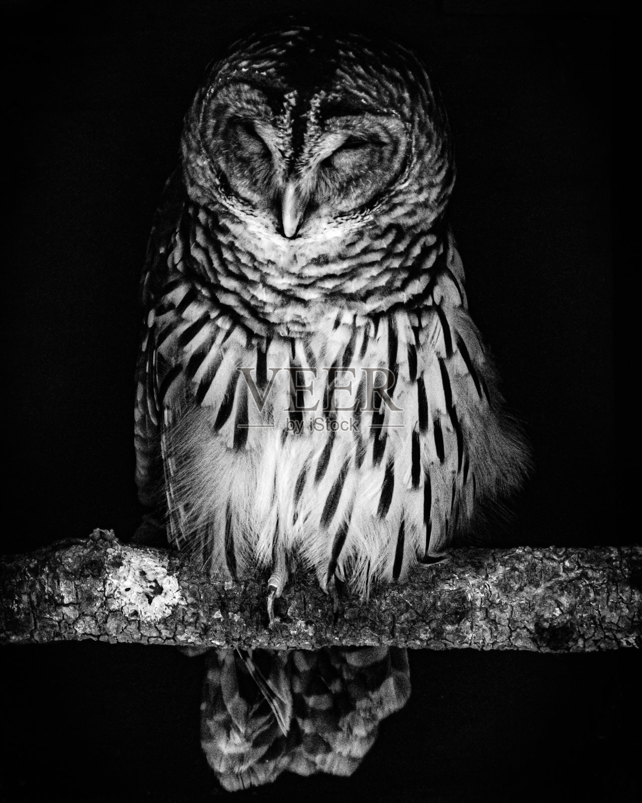 丰富多彩的风景和自然摄影照片摄影图片