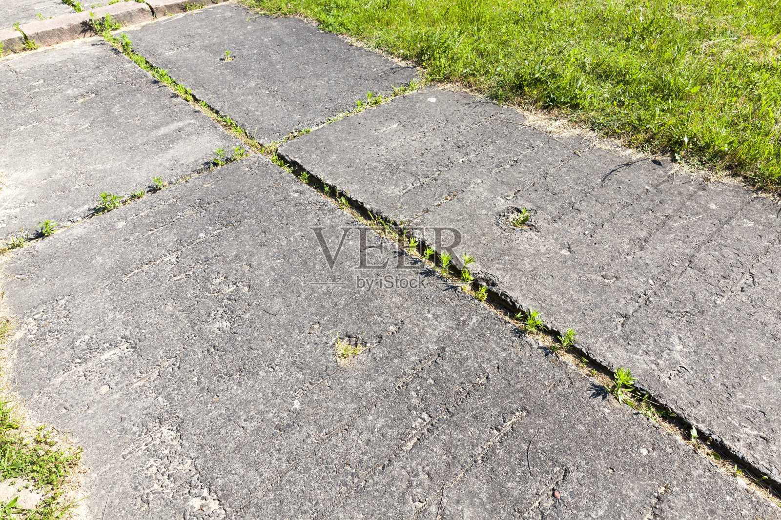 绿草从钢筋混凝土板上长出来照片摄影图片