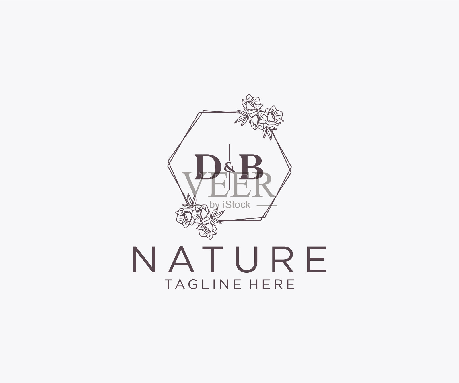 最初的db字母花框架植物学插画图片素材