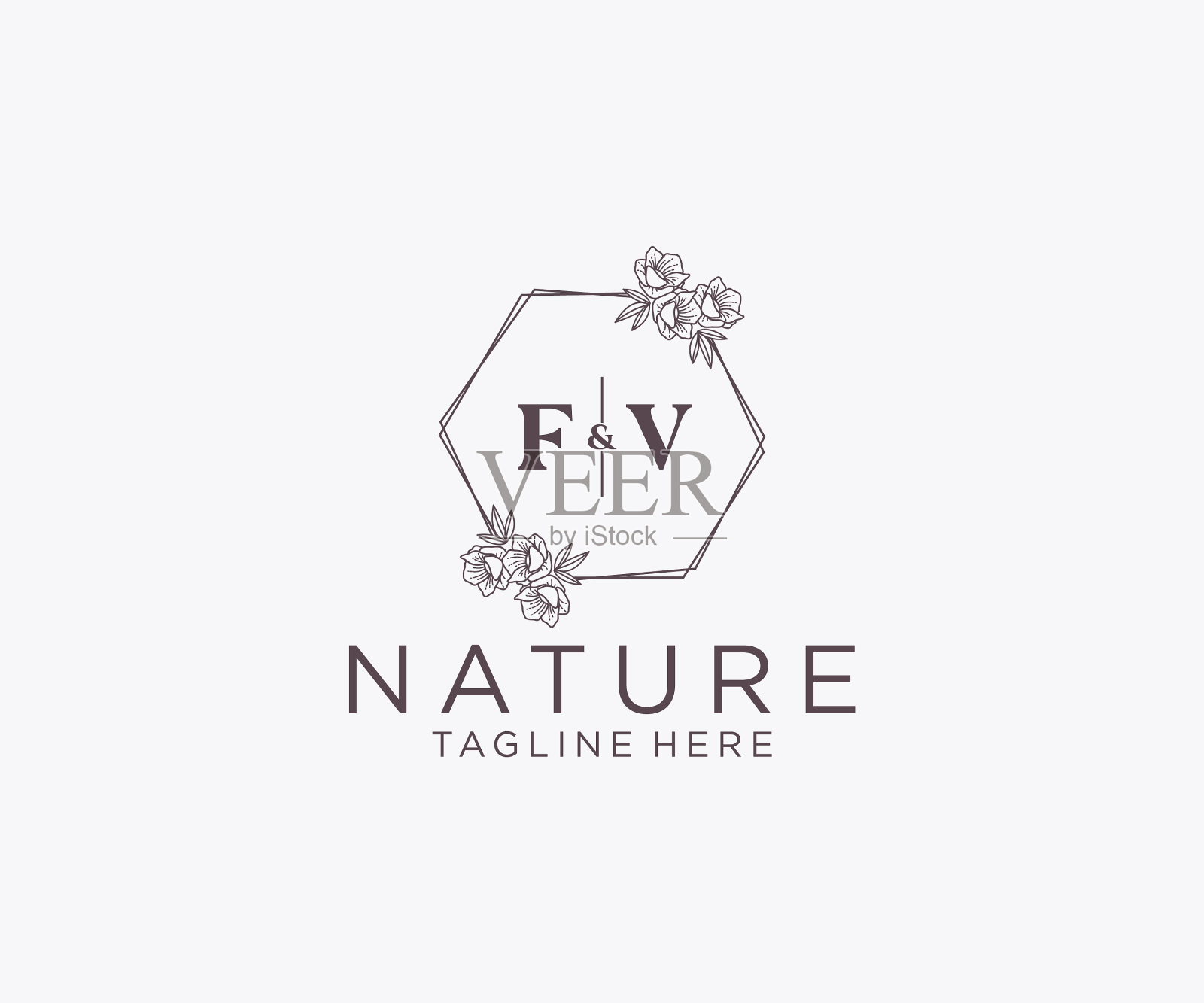 最初的fv字母花框架植物学插画图片素材