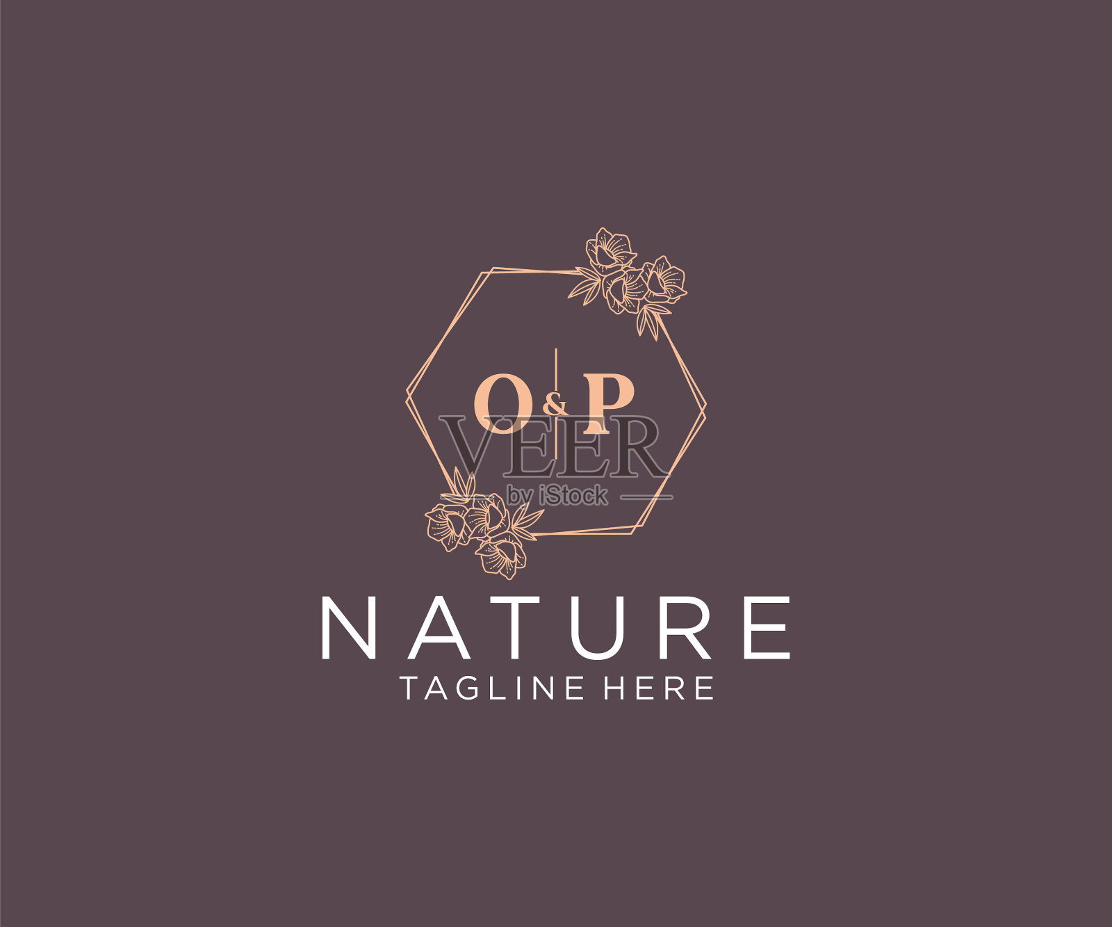 最初的行动字母花框架植物学插画图片素材