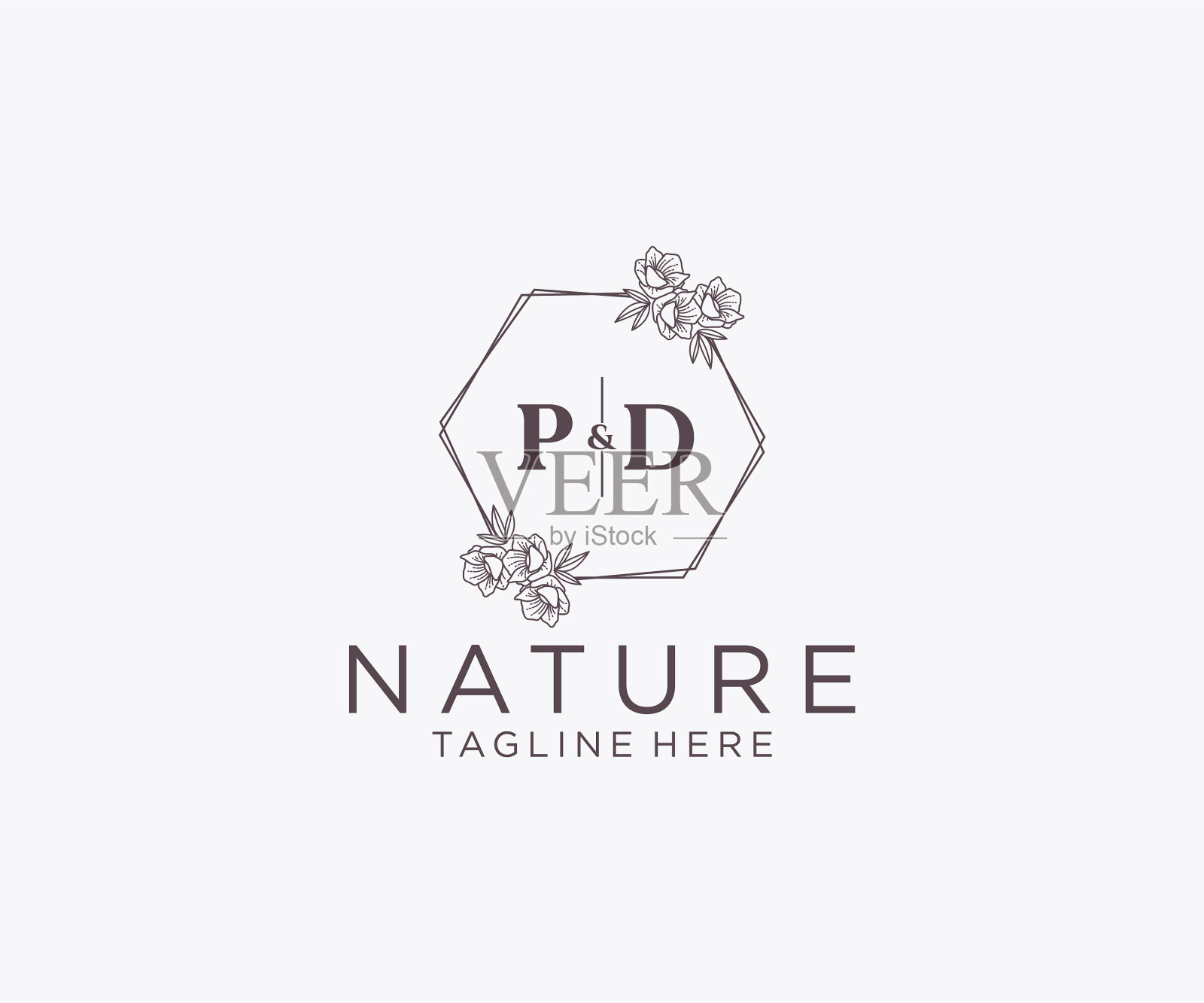 最初的pd字母花框架植物学插画图片素材