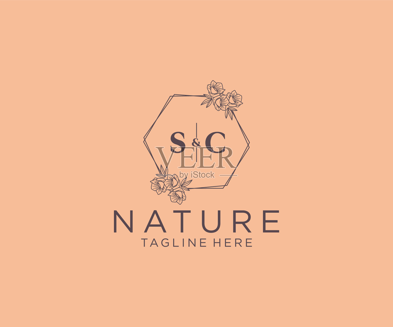 首字母sc花框架植物学的插画图片素材