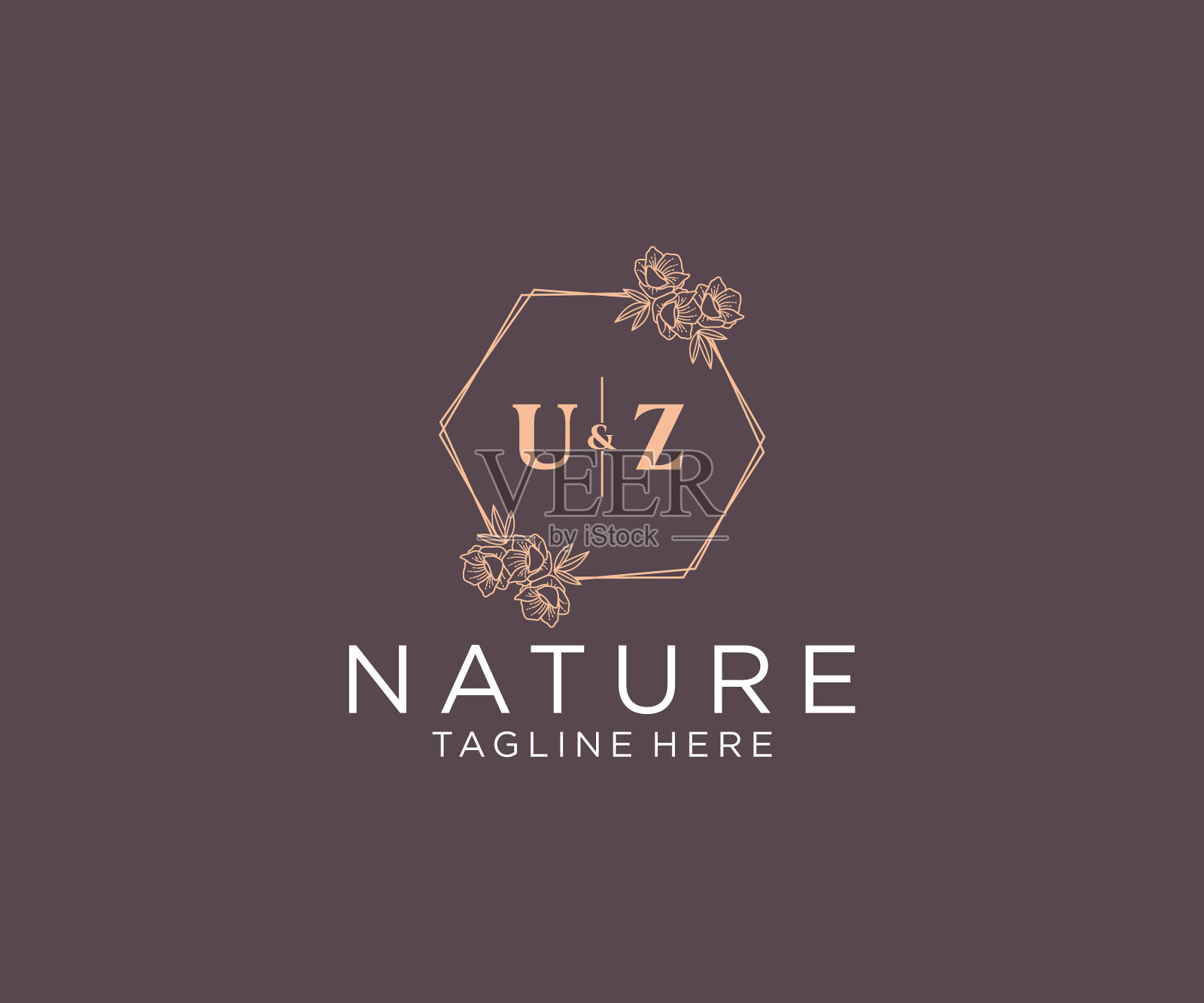 首字母uz花框植物学的插画图片素材