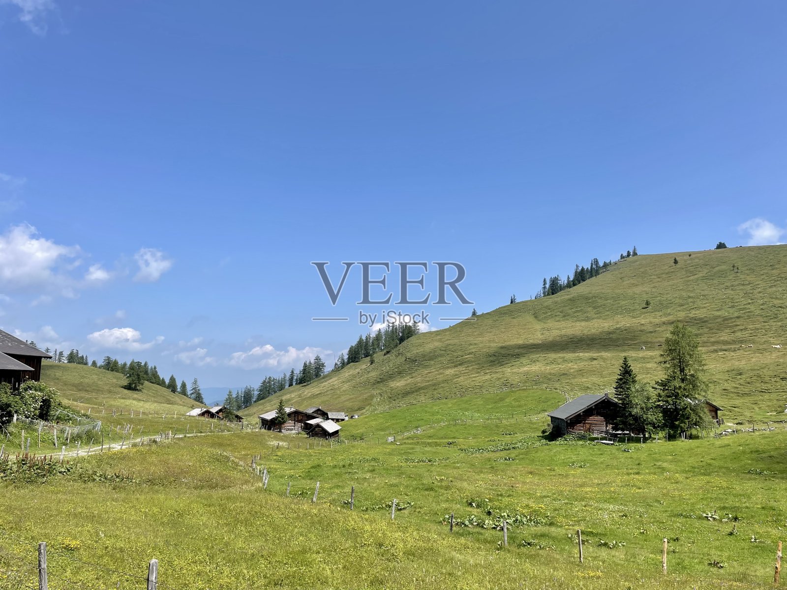 高山牧场面积照片摄影图片