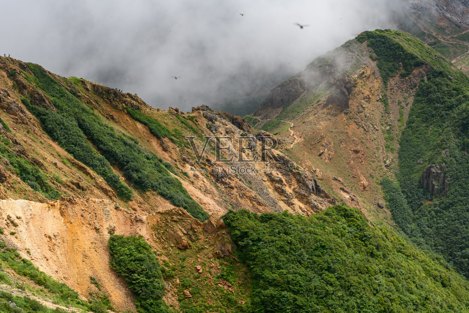 在夏天去肯加明山照片摄影图片