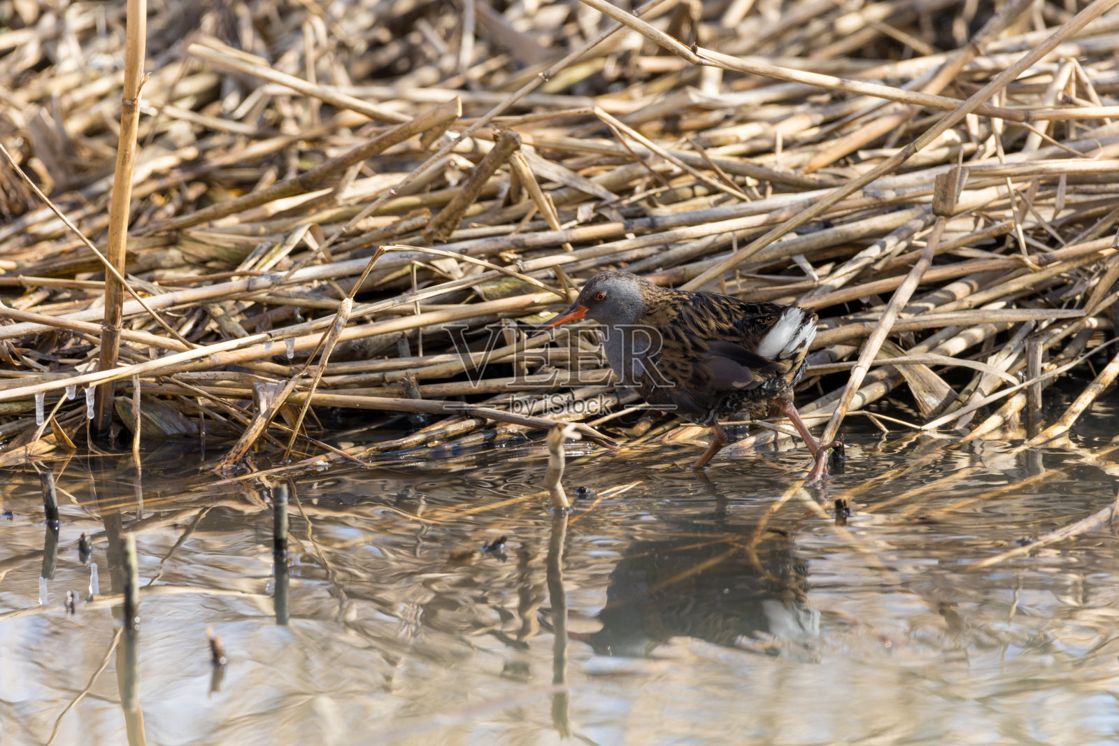 水轨。照片摄影图片