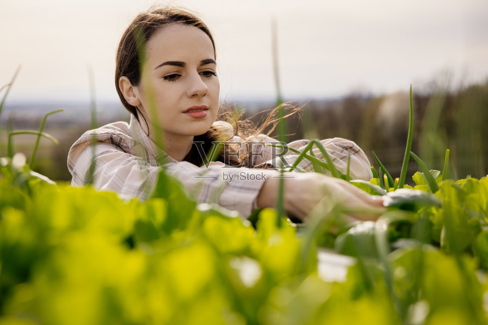 花园里一位年轻女子的肖像照片摄影图片