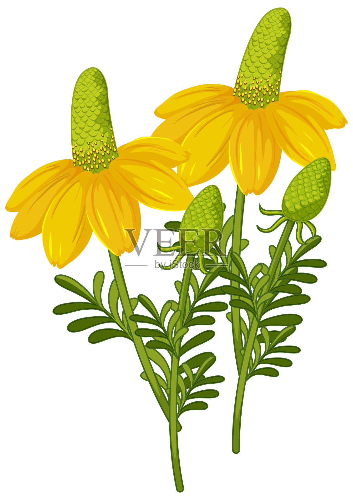 白色背景上的草莓花孤立卡通风格插画图片素材