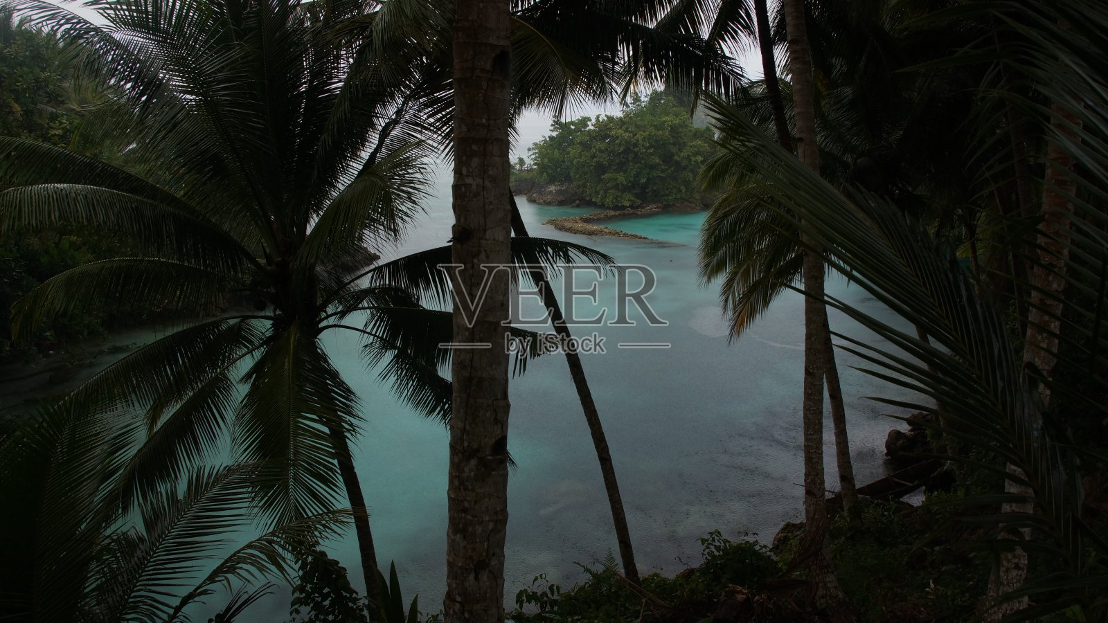 位于苏拉威西岛中部的Peleng岛海滩上的热带森林照片摄影图片