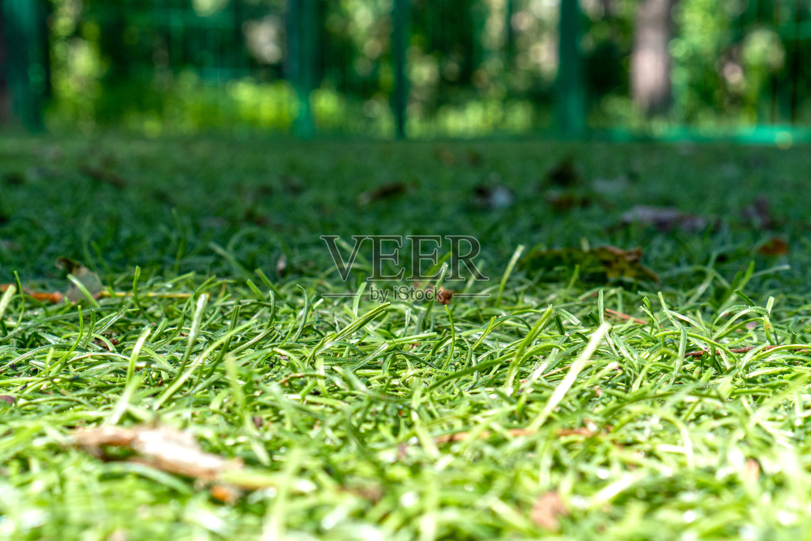 足球场的人造绿草特写照片摄影图片