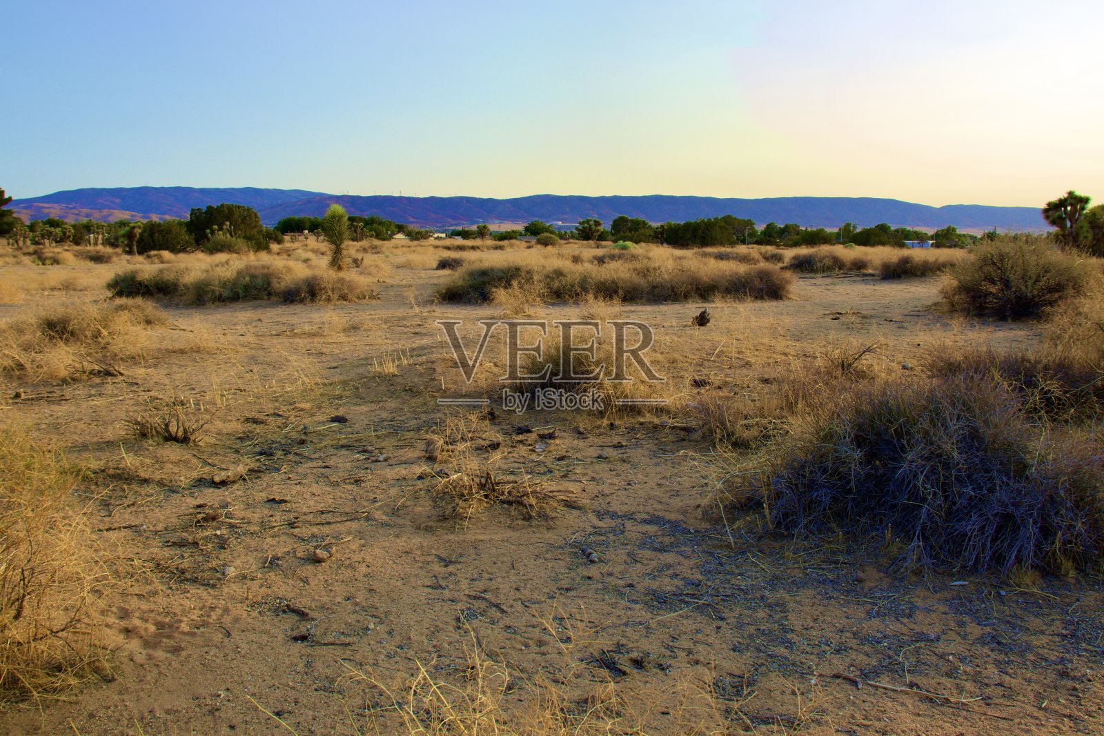 加利福尼亚州沙漠景观照片摄影图片