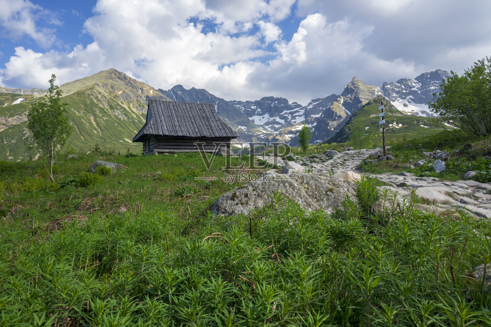 6月的加西尼科瓦山谷。Tatra山上。照片摄影图片