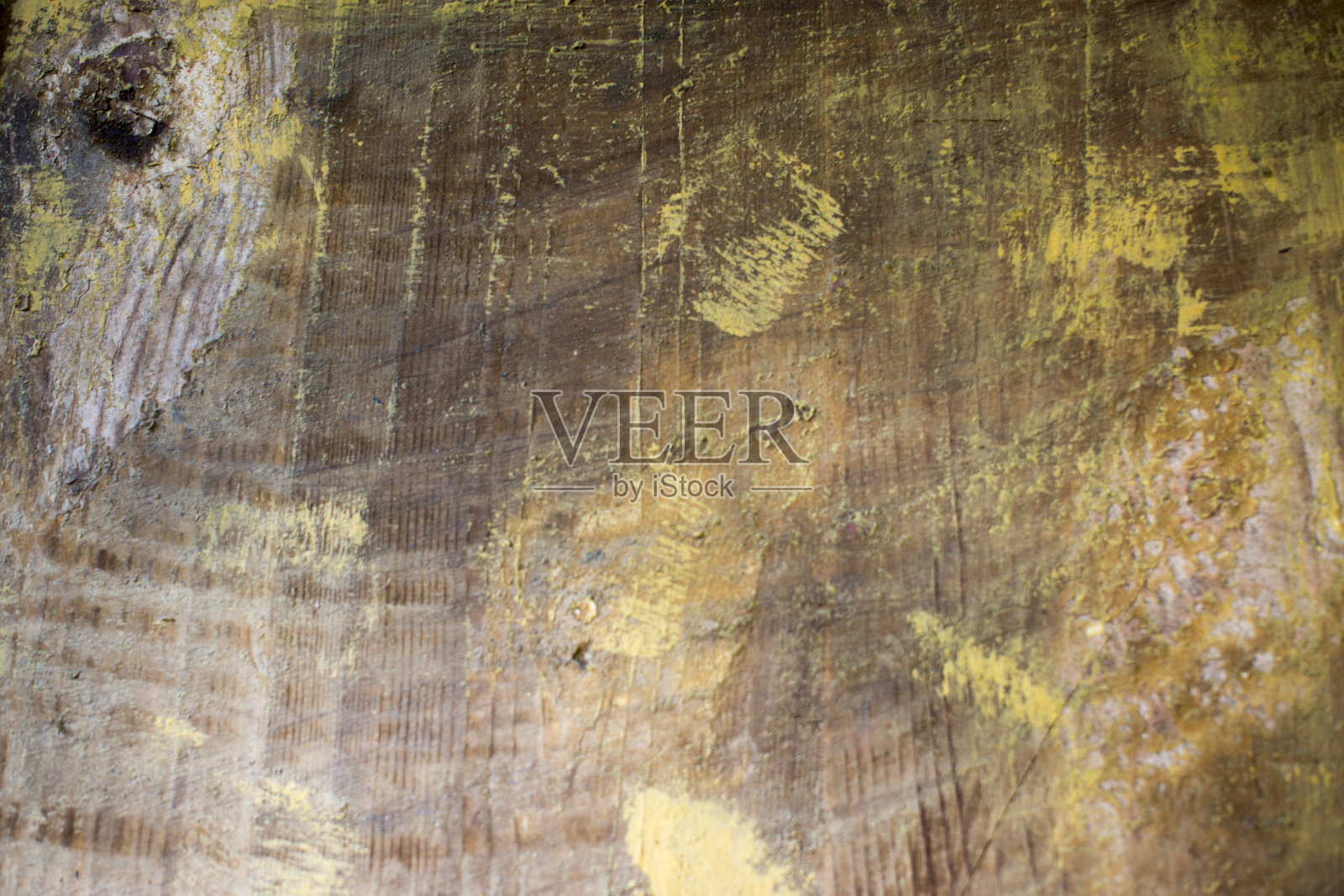 木质裂纹表面覆盖着苔藓和地衣照片摄影图片