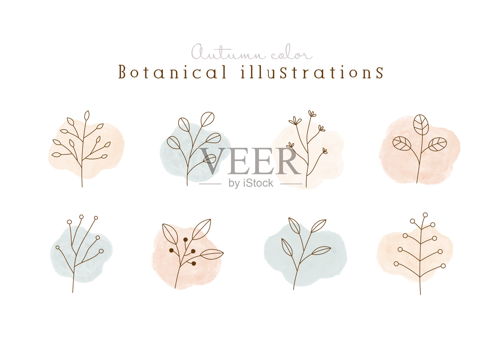 秋季植物色彩插画合集插画图片素材