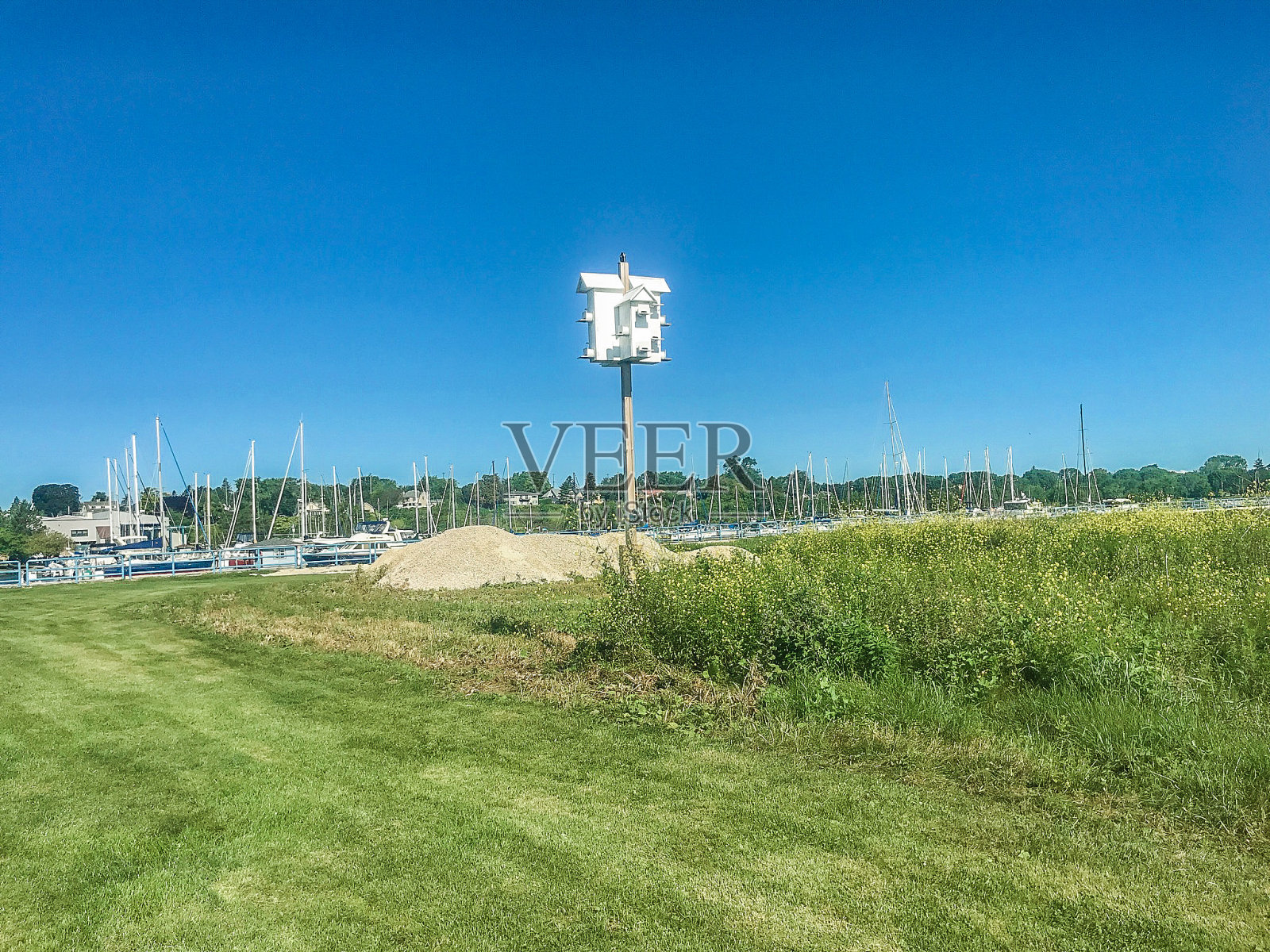 威斯康星州的鸟屋照片摄影图片