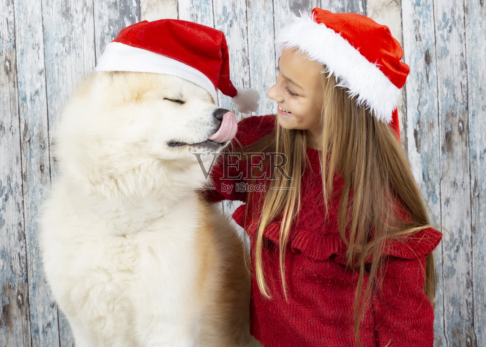 带着圣诞帽的狗的女孩照片摄影图片