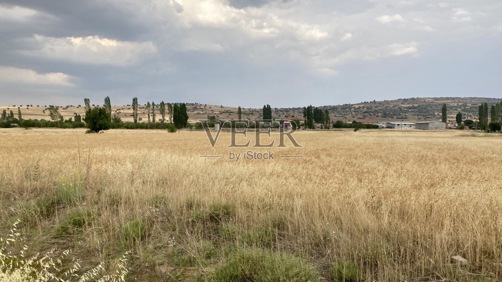 自然景观照片摄影图片